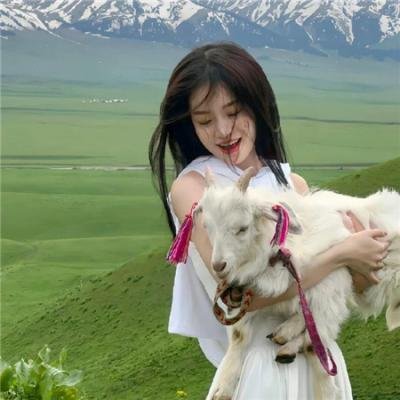 流行歌星:永不停歇 在线观看