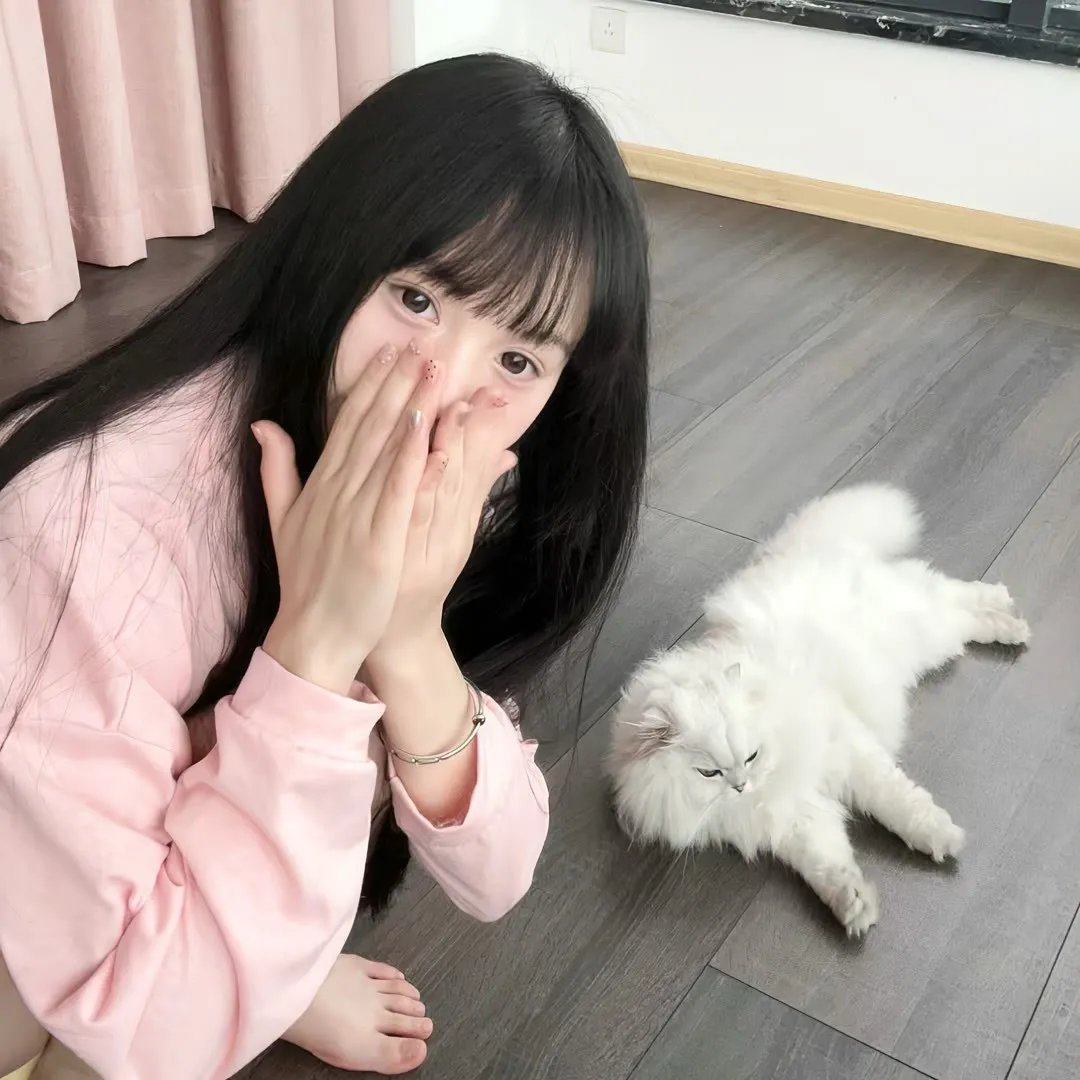 巨星总动员 在线观看